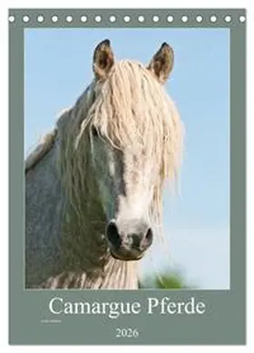 Bölts / CALVENDO |  Camargue Pferde - weiße Mähnen (Tischkalender 2026 DIN A5 hoch), CALVENDO Monatskalender | Sonstiges |  Sack Fachmedien