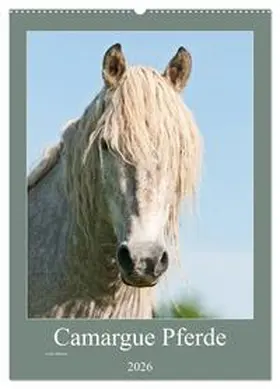 Bölts / CALVENDO |  Camargue Pferde - weiße Mähnen (Wandkalender 2026 DIN A2 hoch), CALVENDO Monatskalender | Sonstiges |  Sack Fachmedien