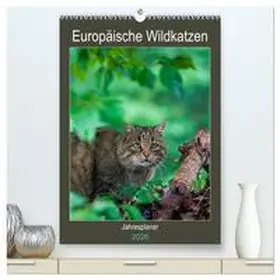 Webeler / CALVENDO |  Europäische Wildkatzen - Jahresplaner (hochwertiger Premium Wandkalender 2026 DIN A2 hoch), Kunstdruck in Hochglanz | Sonstiges |  Sack Fachmedien