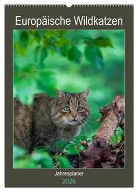 Webeler / CALVENDO |  Europäische Wildkatzen - Jahresplaner (Wandkalender 2026 DIN A2 hoch), CALVENDO Monatskalender | Sonstiges |  Sack Fachmedien
