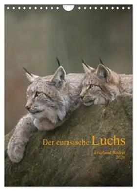 CALVENDO / Becker |  Der eurasische Luchs (Wandkalender 2026 DIN A4 hoch), CALVENDO Monatskalender | Sonstiges |  Sack Fachmedien