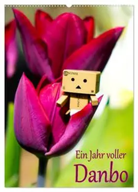 CALVENDO / Moßhammer |  Ein Jahr voller Danbo (Wandkalender 2026 DIN A2 hoch), CALVENDO Monatskalender | Sonstiges |  Sack Fachmedien