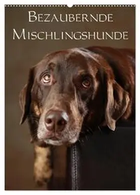 Behr / CALVENDO |  Bezaubernde Mischlingshunde (Wandkalender 2026 DIN A2 hoch), CALVENDO Monatskalender | Sonstiges |  Sack Fachmedien