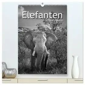 STYPPA / CALVENDO |  Elefanten in schwarz-weiss (hochwertiger Premium Wandkalender 2026 DIN A2 hoch), Kunstdruck in Hochglanz | Sonstiges |  Sack Fachmedien