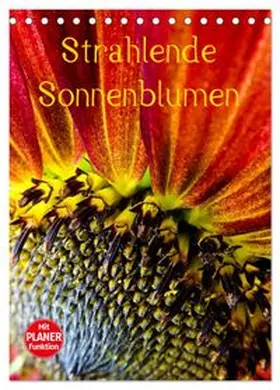 CALVENDO / Sigwarth |  Strahlende Sonnenblumen (Tischkalender 2026 DIN A5 hoch), CALVENDO Monatskalender | Sonstiges |  Sack Fachmedien