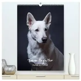 CALVENDO / Stark |  Treue Wegbegleiter, Hunde im Portrait. (hochwertiger Premium Wandkalender 2026 DIN A2 hoch), Kunstdruck in Hochglanz | Sonstiges |  Sack Fachmedien