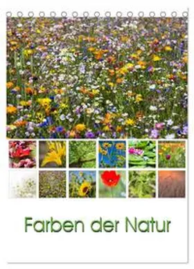 Klinder / CALVENDO |  Farben der Natur (Tischkalender 2026 DIN A5 hoch), CALVENDO Monatskalender | Sonstiges |  Sack Fachmedien