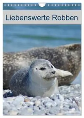 Kattobello / CALVENDO |  Liebenswerte Robben (Wandkalender 2026 DIN A4 hoch), CALVENDO Monatskalender | Sonstiges |  Sack Fachmedien