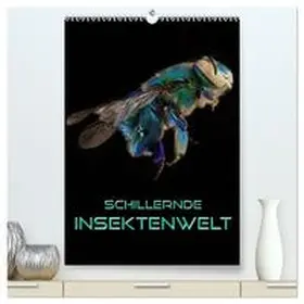 Bleicher / CALVENDO |  Schillernde Insektenwelt (hochwertiger Premium Wandkalender 2026 DIN A2 hoch), Kunstdruck in Hochglanz | Sonstiges |  Sack Fachmedien