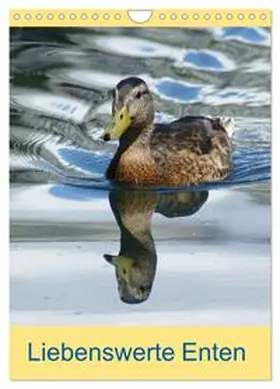 Kattobello / CALVENDO |  Liebenswerte Enten (Wandkalender 2026 DIN A4 hoch), CALVENDO Monatskalender | Sonstiges |  Sack Fachmedien