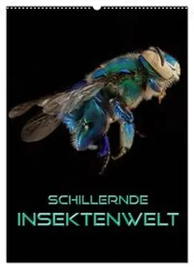 Bleicher / CALVENDO |  Schillernde Insektenwelt (Wandkalender 2026 DIN A2 hoch), CALVENDO Monatskalender | Sonstiges |  Sack Fachmedien
