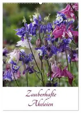 Goebel / CALVENDO |  Zauberhafte Akeleien (Wandkalender 2026 DIN A2 hoch), CALVENDO Monatskalender | Sonstiges |  Sack Fachmedien