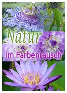 B-B Müller / CALVENDO |  Natur im Farbenrausch (Wandkalender 2026 DIN A2 hoch), CALVENDO Monatskalender | Sonstiges |  Sack Fachmedien