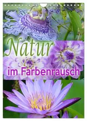 B-B Müller / CALVENDO |  Natur im Farbenrausch (Wandkalender 2026 DIN A4 hoch), CALVENDO Monatskalender | Sonstiges |  Sack Fachmedien