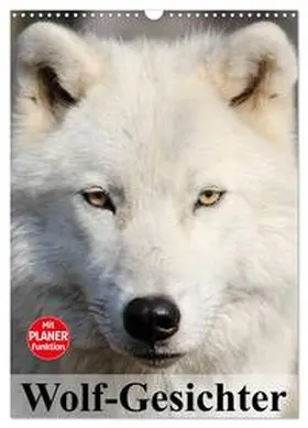 Stanzer / CALVENDO |  Wolf-Gesichter (Wandkalender 2026 DIN A3 hoch), CALVENDO Monatskalender | Sonstiges |  Sack Fachmedien