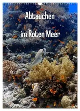 Eberschulz / CALVENDO |  Abtauchen im Roten Meer (Wandkalender 2026 DIN A3 hoch), CALVENDO Monatskalender | Sonstiges |  Sack Fachmedien