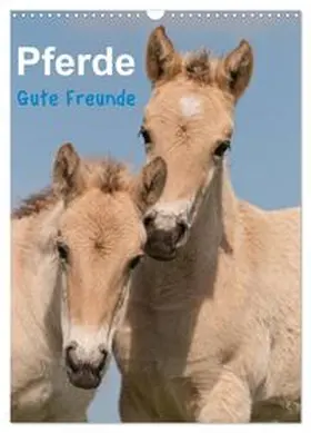 Bölts / CALVENDO |  Pferde Gute Freunde (Wandkalender 2026 DIN A3 hoch), CALVENDO Monatskalender | Sonstiges |  Sack Fachmedien
