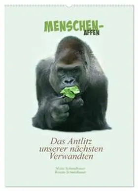 Schmidbauer / CALVENDO |  Menschenaffen - Das Antlitz unserer nächsten Verwandten (Wandkalender 2026 DIN A2 hoch), CALVENDO Monatskalender | Sonstiges |  Sack Fachmedien