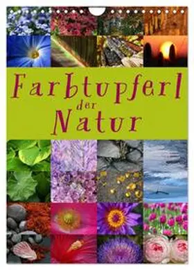 Cross / CALVENDO |  Farbtupferl der Natur (Wandkalender 2026 DIN A4 hoch), CALVENDO Monatskalender | Sonstiges |  Sack Fachmedien