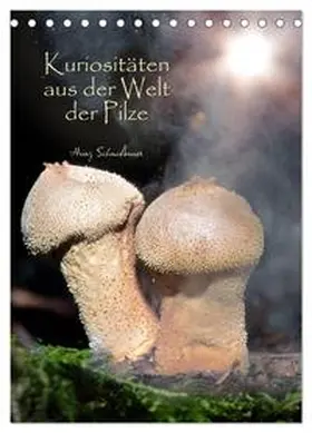 Schmidbauer / CALVENDO |  Kuriositäten aus der Welt der Pilze (Tischkalender 2026 DIN A5 hoch), CALVENDO Monatskalender | Sonstiges |  Sack Fachmedien
