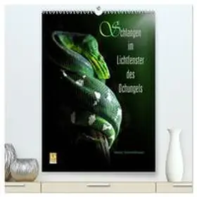 Schmidbauer / CALVENDO |  Schlangen im Lichtfenster des Dschungels (hochwertiger Premium Wandkalender 2026 DIN A2 hoch), Kunstdruck in Hochglanz | Sonstiges |  Sack Fachmedien