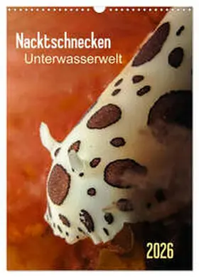 Weber-Gebert / CALVENDO |  Nacktschnecken - Unterwasserwelt 2026 (Wandkalender 2026 DIN A3 hoch), CALVENDO Monatskalender | Sonstiges |  Sack Fachmedien