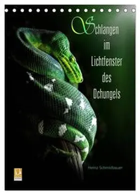 Schmidbauer / CALVENDO |  Schlangen im Lichtfenster des Dschungels (Tischkalender 2026 DIN A5 hoch), CALVENDO Monatskalender | Sonstiges |  Sack Fachmedien