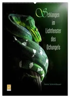 Schmidbauer / CALVENDO |  Schlangen im Lichtfenster des Dschungels (Wandkalender 2026 DIN A2 hoch), CALVENDO Monatskalender | Sonstiges |  Sack Fachmedien