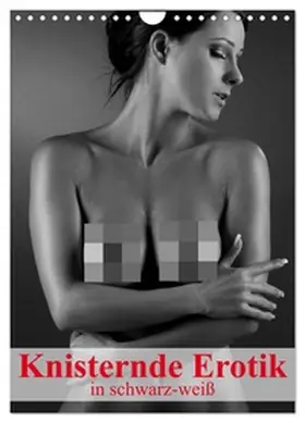 Stanzer / CALVENDO |  Knisternde Erotik in schwarz-weiß (Wandkalender 2026 DIN A4 hoch), CALVENDO Monatskalender | Sonstiges |  Sack Fachmedien