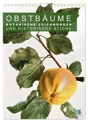CALVENDO |  Obstbäume: Botanische Zeichnungen und historische Stiche (Wandkalender 2026 DIN A4 hoch), CALVENDO Monatskalender | Sonstiges |  Sack Fachmedien