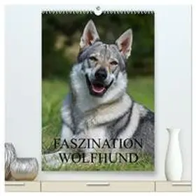 Starick / CALVENDO |  Faszination Wolfhund (hochwertiger Premium Wandkalender 2026 DIN A2 hoch), Kunstdruck in Hochglanz | Sonstiges |  Sack Fachmedien