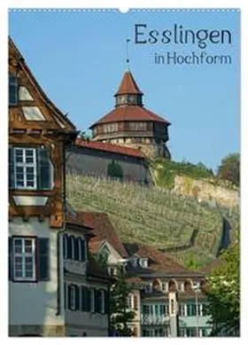 Weber / CALVENDO |  Esslingen in Hochform (Wandkalender 2026 DIN A2 hoch), CALVENDO Monatskalender | Sonstiges |  Sack Fachmedien