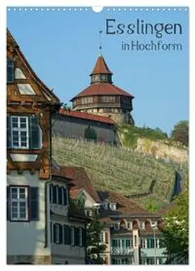 Weber / CALVENDO |  Esslingen in Hochform (Wandkalender 2026 DIN A3 hoch), CALVENDO Monatskalender | Sonstiges |  Sack Fachmedien