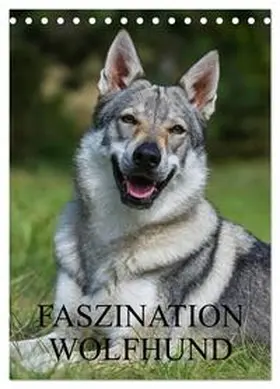 Starick / CALVENDO |  Faszination Wolfhund (Tischkalender 2026 DIN A5 hoch), CALVENDO Monatskalender | Sonstiges |  Sack Fachmedien