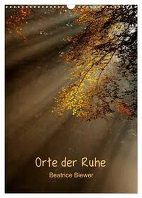 Biewer / CALVENDO |  Orte der Ruhe (Wandkalender 2026 DIN A3 hoch), CALVENDO Monatskalender | Sonstiges |  Sack Fachmedien