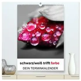 Kaden / CALVENDO |  schwarz/weiß trifft farbe - DEIN TERMINKALENDER / Planer (hochwertiger Premium Wandkalender 2026 DIN A2 hoch), Kunstdruck in Hochglanz | Sonstiges |  Sack Fachmedien