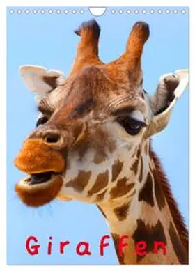 Stanzer / CALVENDO |  Giraffen (Wandkalender 2026 DIN A4 hoch), CALVENDO Monatskalender | Sonstiges |  Sack Fachmedien