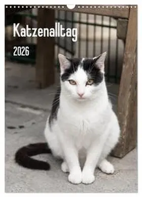 Scholz / CALVENDO |  Katzenalltag 2026 (Wandkalender 2026 DIN A3 hoch), CALVENDO Monatskalender | Sonstiges |  Sack Fachmedien