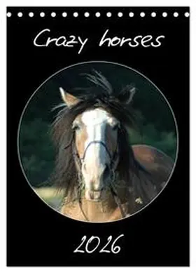 Lampert / CALVENDO |  Crazy horses (Tischkalender 2026 DIN A5 hoch), CALVENDO Monatskalender | Sonstiges |  Sack Fachmedien
