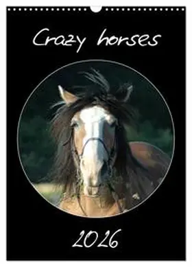 Lampert / CALVENDO |  Crazy horses (Wandkalender 2026 DIN A3 hoch), CALVENDO Monatskalender | Sonstiges |  Sack Fachmedien