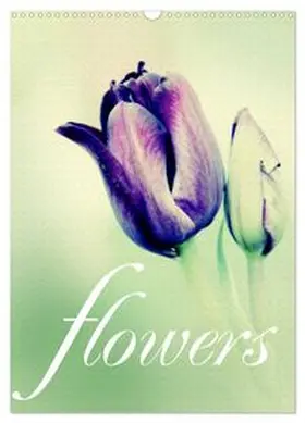 CALVENDO / Stehle |  flowers (Wandkalender 2026 DIN A3 hoch), CALVENDO Monatskalender | Sonstiges |  Sack Fachmedien