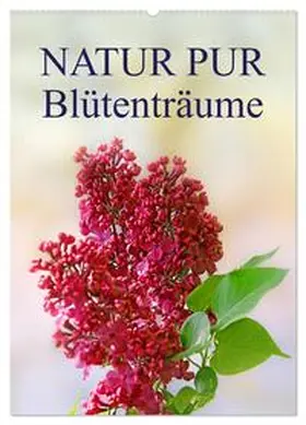Dietzel / CALVENDO |  NATUR PUR Blütenträume (Wandkalender 2026 DIN A2 hoch), CALVENDO Monatskalender | Sonstiges |  Sack Fachmedien
