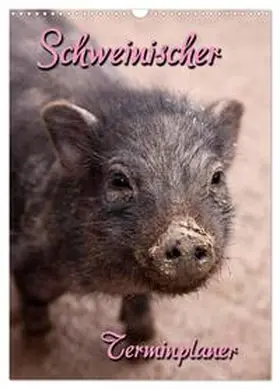 Berg / CALVENDO |  Schweinischer Terminplaner (Wandkalender 2026 DIN A3 hoch), CALVENDO Monatskalender | Sonstiges |  Sack Fachmedien