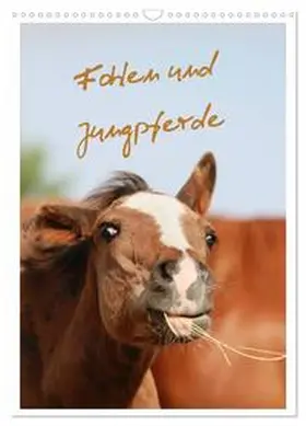 Mielewczyk / CALVENDO |  Fohlen und Jungpferde (Wandkalender 2026 DIN A3 hoch), CALVENDO Monatskalender | Sonstiges |  Sack Fachmedien