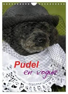 Lindert-Rottke / CALVENDO |  Pudel en vogue (Wandkalender 2026 DIN A4 hoch), CALVENDO Monatskalender | Sonstiges |  Sack Fachmedien