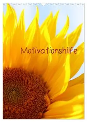 CALVENDO / Hultsch |  Motivationshilfe (Wandkalender 2026 DIN A3 hoch), CALVENDO Monatskalender | Sonstiges |  Sack Fachmedien