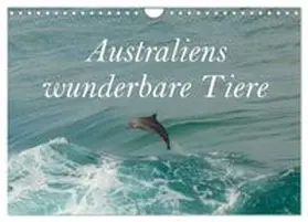 CALVENDO / Viehmann |  Australiens wunderbare Tiere (Wandkalender 2026 DIN A4 quer), CALVENDO Monatskalender | Sonstiges |  Sack Fachmedien