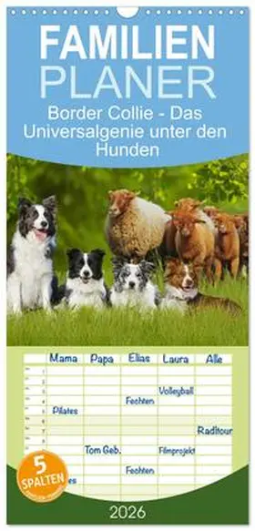 Starick / CALVENDO |  Familienplaner 2026 - Border Collie - Das Universalgenie unter den Hunden mit 5 Spalten (Wandkalender, 21 x 45 cm) CALVENDO | Sonstiges |  Sack Fachmedien