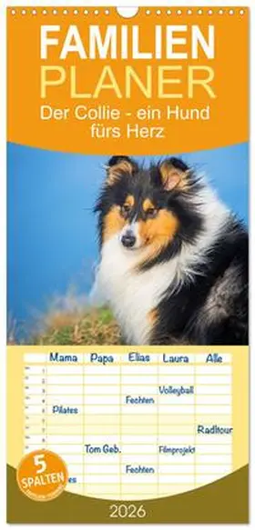 Starick / CALVENDO |  Familienplaner 2026 - Der Collie - ein Hund fürs Herz mit 5 Spalten (Wandkalender, 21 x 45 cm) CALVENDO | Sonstiges |  Sack Fachmedien