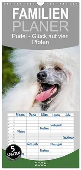 Starick / CALVENDO |  Familienplaner 2026 - Pudel - Glück auf vier Pfoten mit 5 Spalten (Wandkalender, 21 x 45 cm) CALVENDO | Sonstiges |  Sack Fachmedien